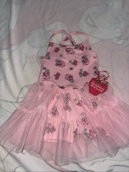 Strawberry Shortcake Other - Strawberry Shortcake Pink Tulle Tiered Dress for Kids